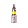 T534 T539 Color Bits Torx 100x100